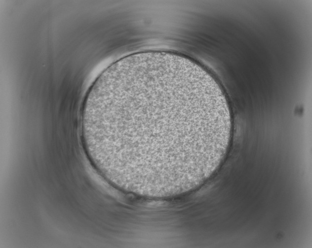 X0000112731467200910011145