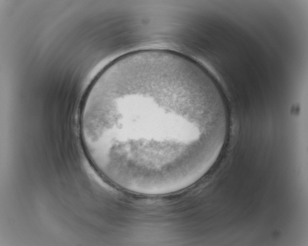 X0000112731468200910011145