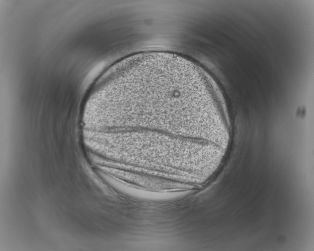 X0000112731469200910011145