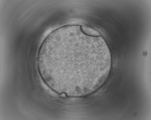 X0000112731471200910011145