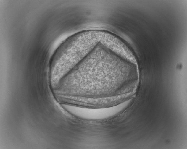X0000112731472200910011145