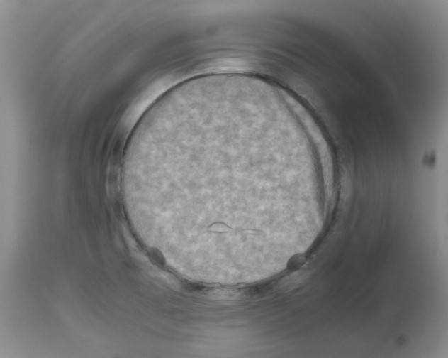 X0000112731473200910011145