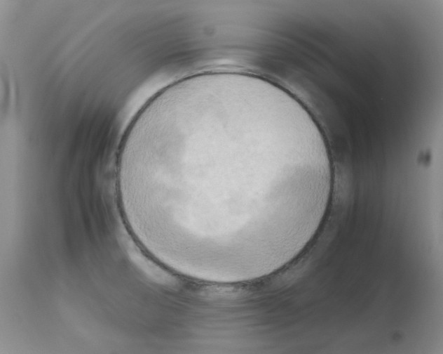 X0000112731474200910011145