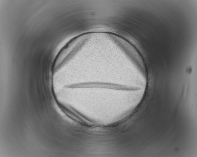 X0000112731476200910011145