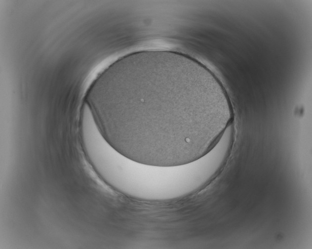 X0000112731477200910011145