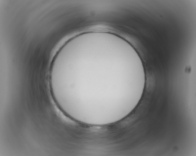 X0000112731478200910011145