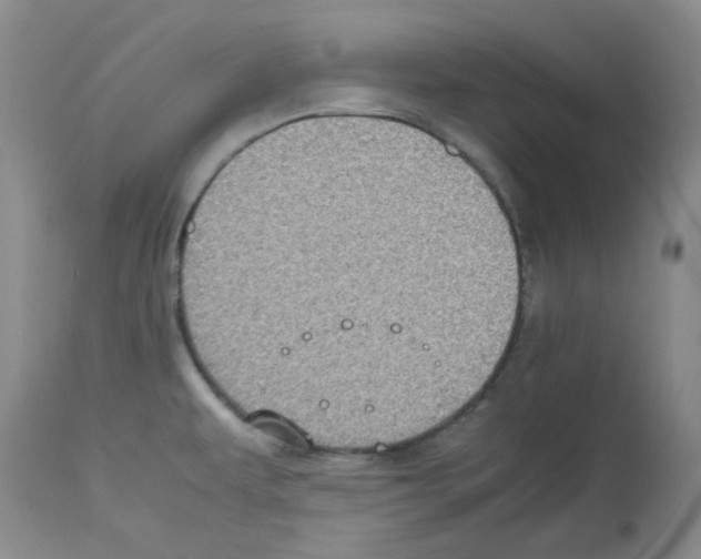 X0000112731479200910011145