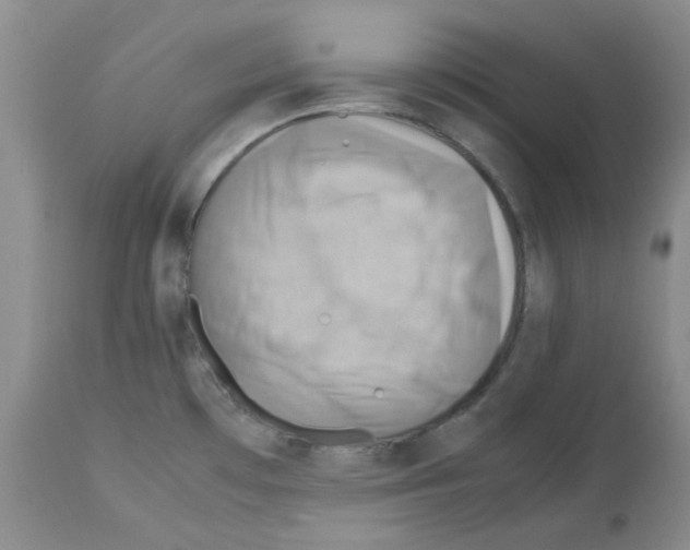 X0000112731481200910011145