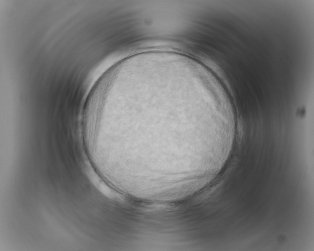 X0000112731482200910011145
