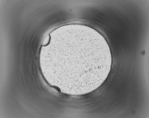 X0000112731483200910011145