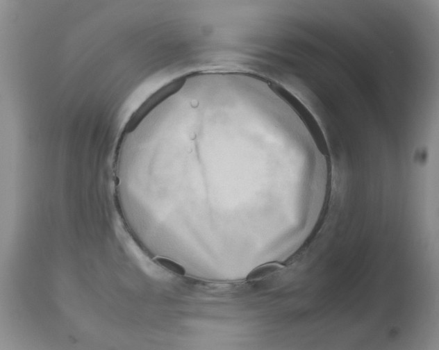 X0000112731485200910011145