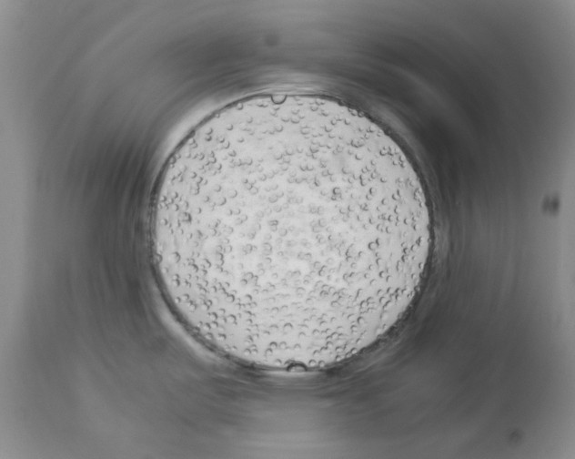 X0000112731487200910011144
