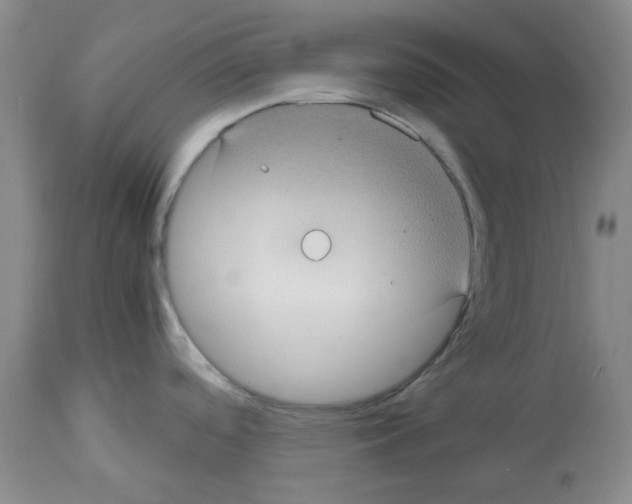 X0000112731488200910011144