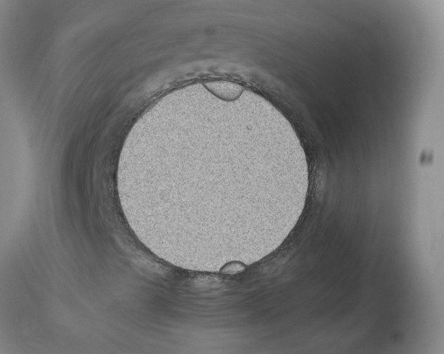 X0000112731489200910011144