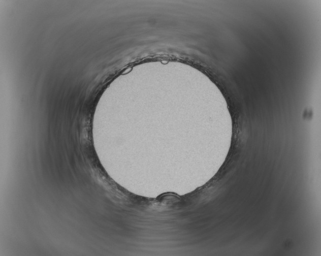 X0000112731490200910011144