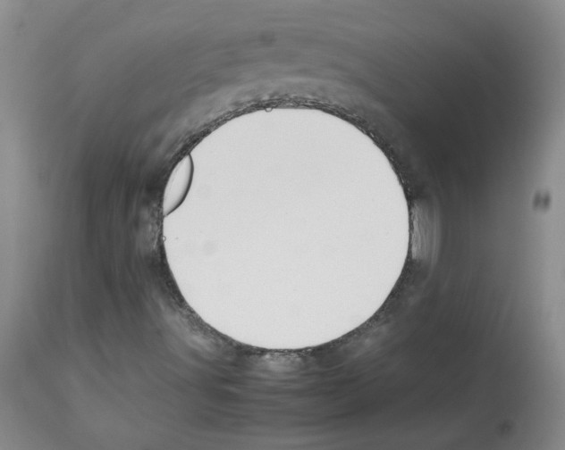 X0000112731491200910011144