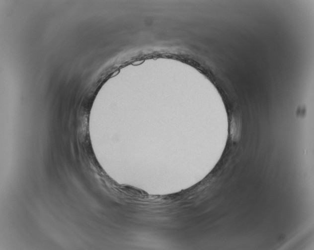 X0000112731492200910011144
