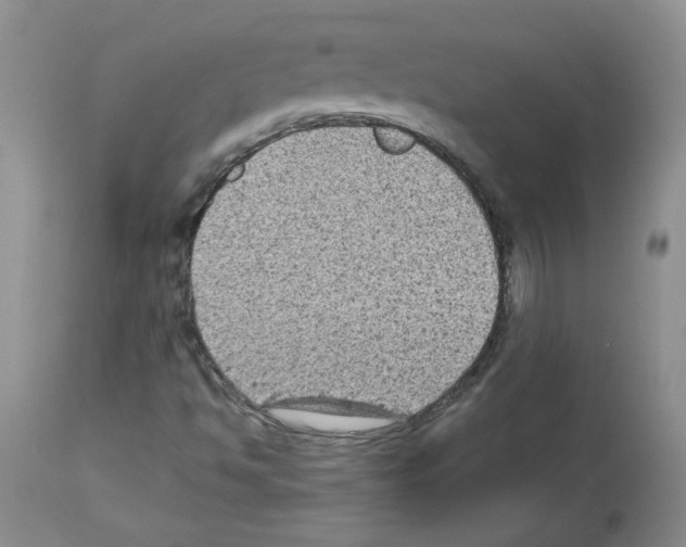 X0000112731494200910011144