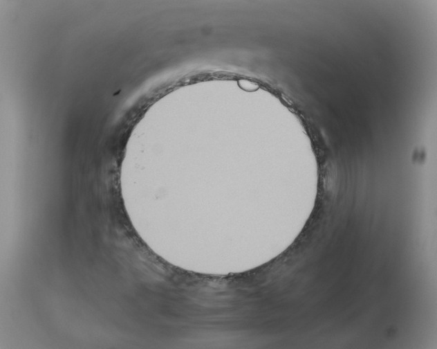 X0000112731495200910011144