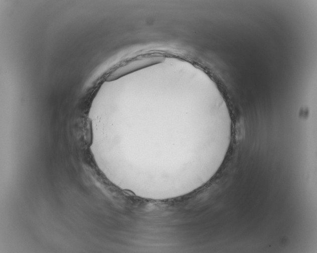 X0000112731496200910011144
