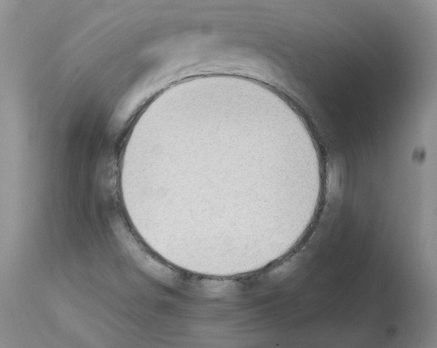 X0000112731498200910011144