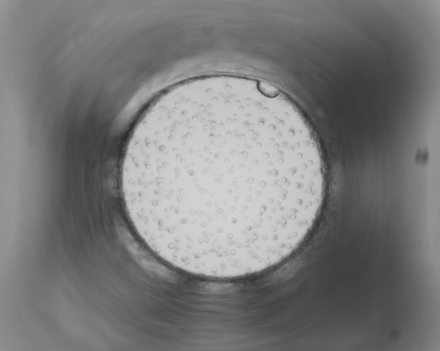 X0000112731499200910011144