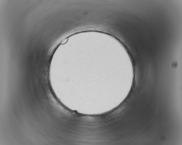 X0000112731500200910011144