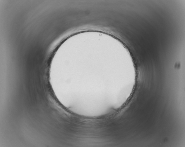 X0000112731502200910011144