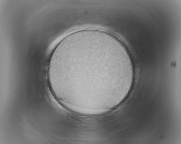 X0000112731504200910011144