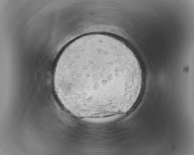 X0000112731505200910011144