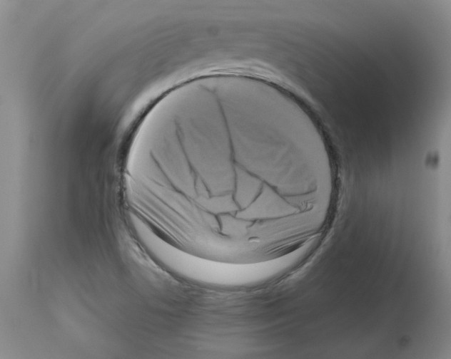 X0000112731506200910011144