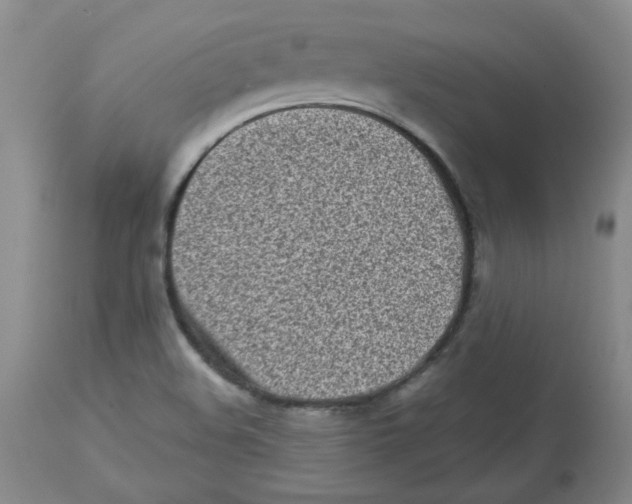 X0000112731508200910011144