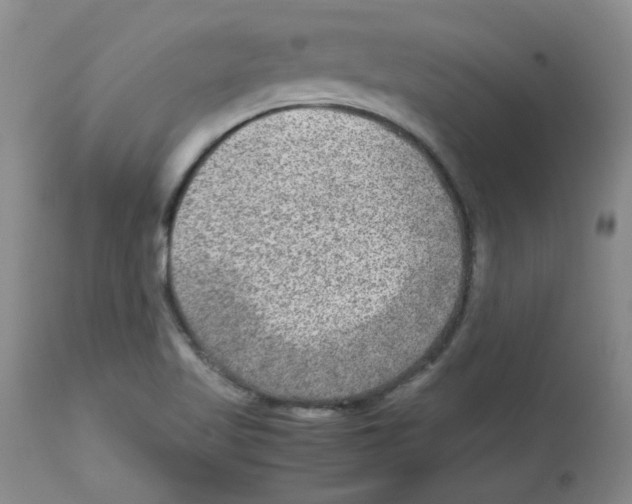 X0000112731509200910011144