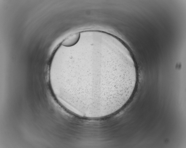 X0000112731510200910011144