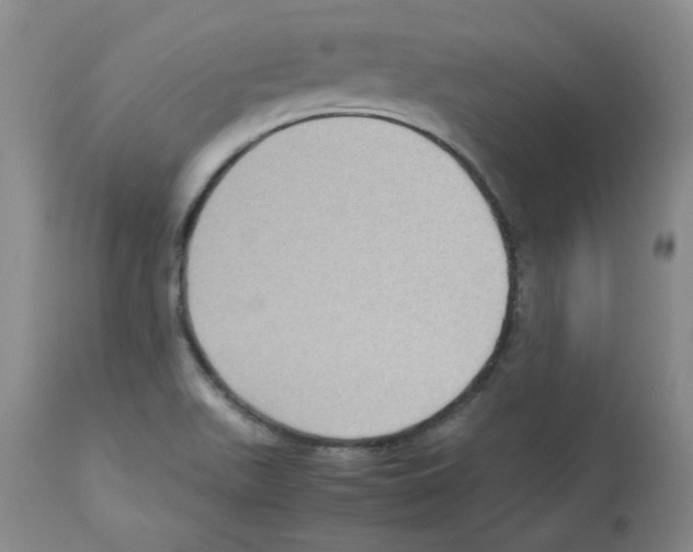 X0000112731511200910011144