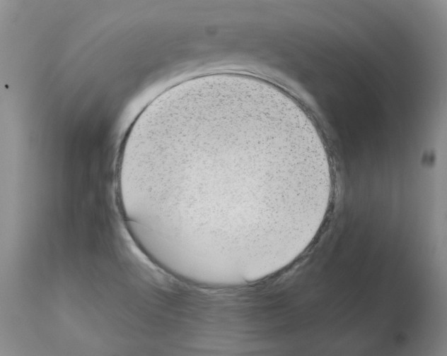 X0000112731512200910011144
