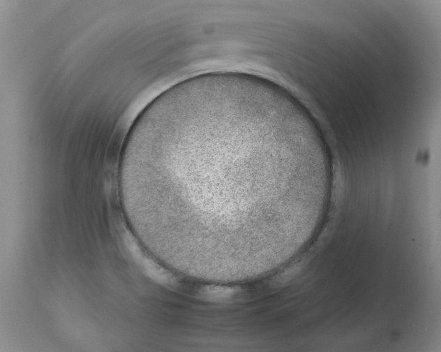 X0000112731513200910011144