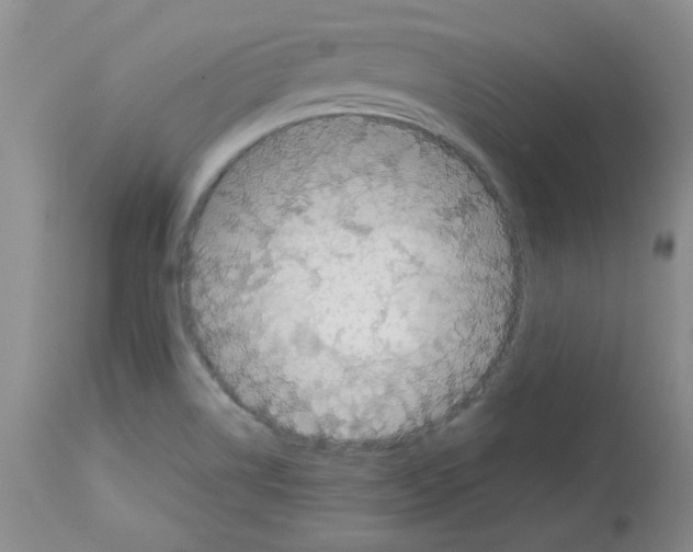 X0000112731514200910011144