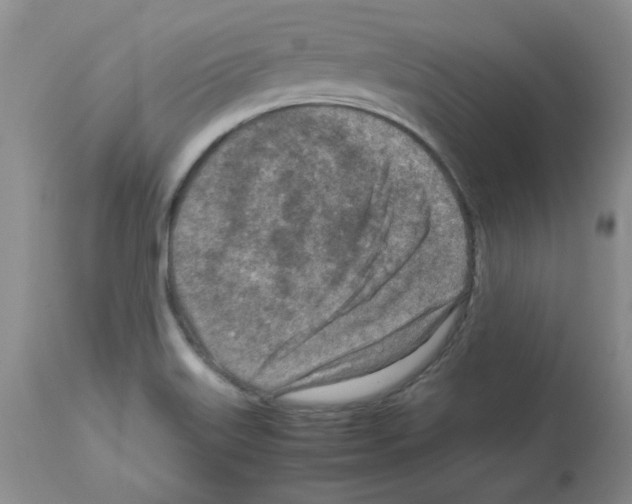 X0000112731515200910011144