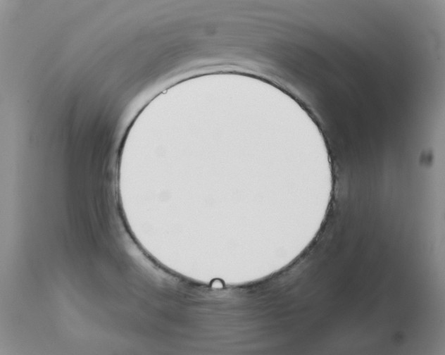 X0000112731516200910011144