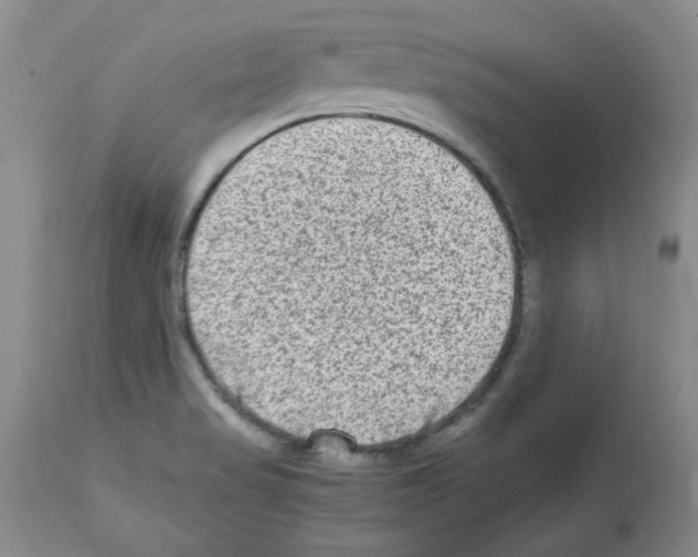 X0000112731517200910011144