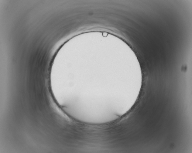 X0000112731518200910011144