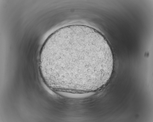 X0000112731519200910011144
