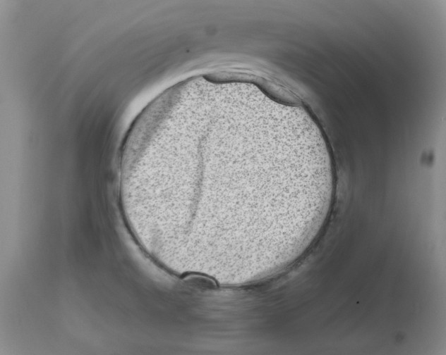 X0000112731520200910011144