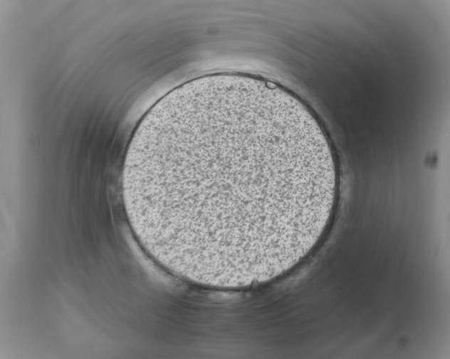 X0000112731521200910011144