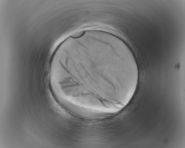 X0000112731522200910011144