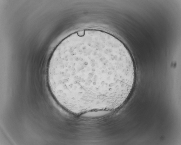X0000112731525200910011144