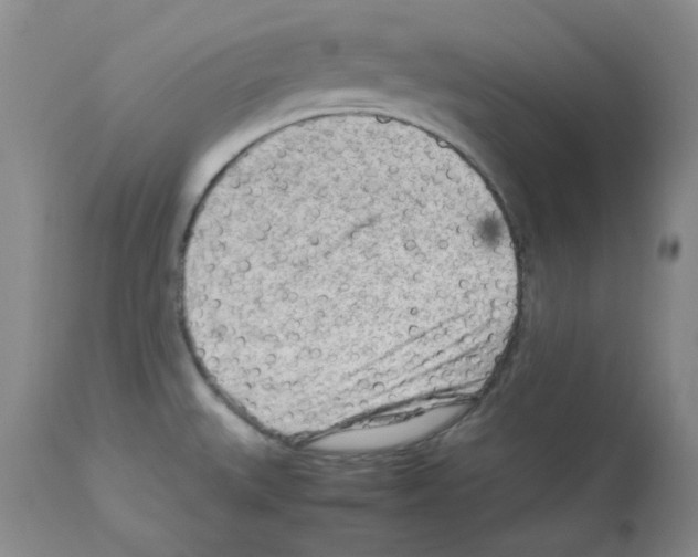 X0000112731527200910011144