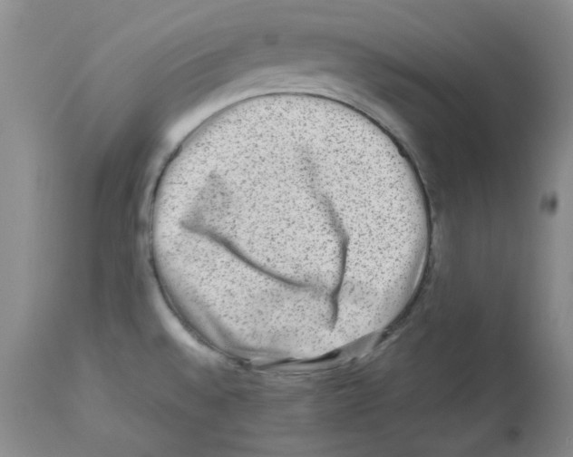 X0000112731528200910011144