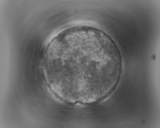 X0000112731529200910011144